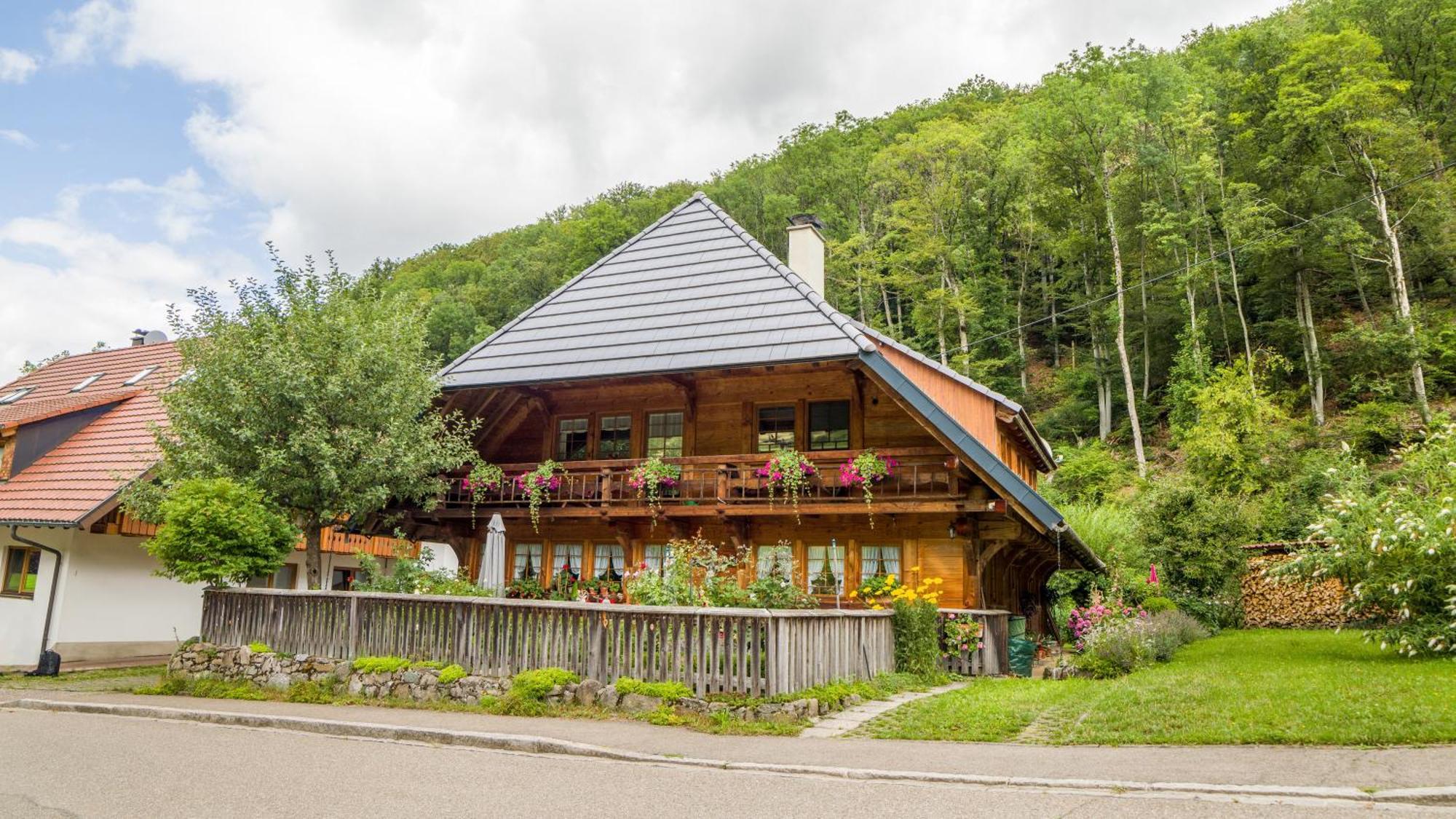 Haus Miriam Daire Münstertal Dış mekan fotoğraf