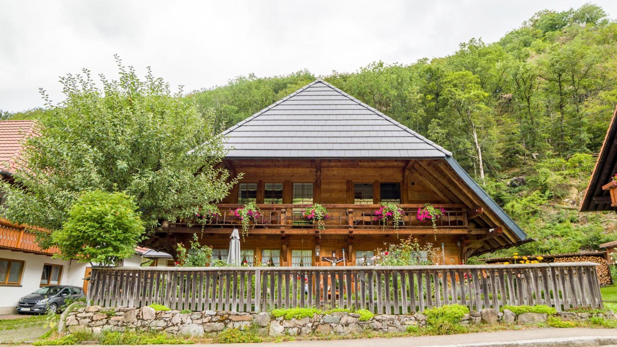 Haus Miriam Daire Münstertal Dış mekan fotoğraf
